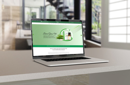 Social Media Marketing & Website Development